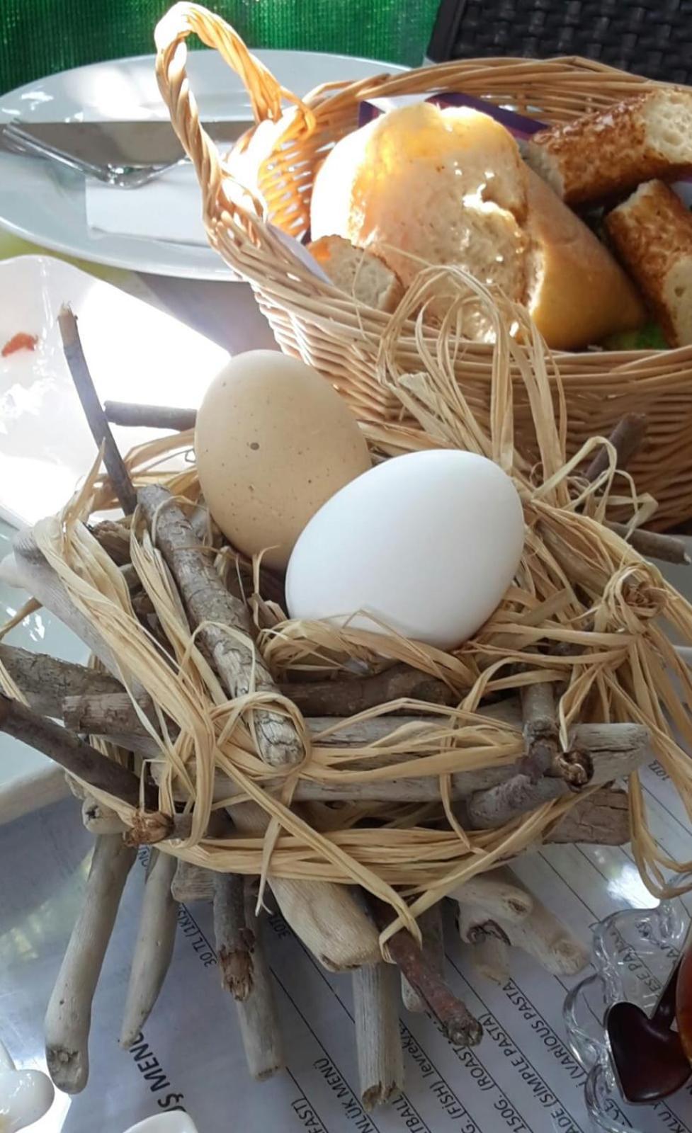 مبيت وإفطار Cirali Kus Yuvasi المظهر الخارجي الصورة