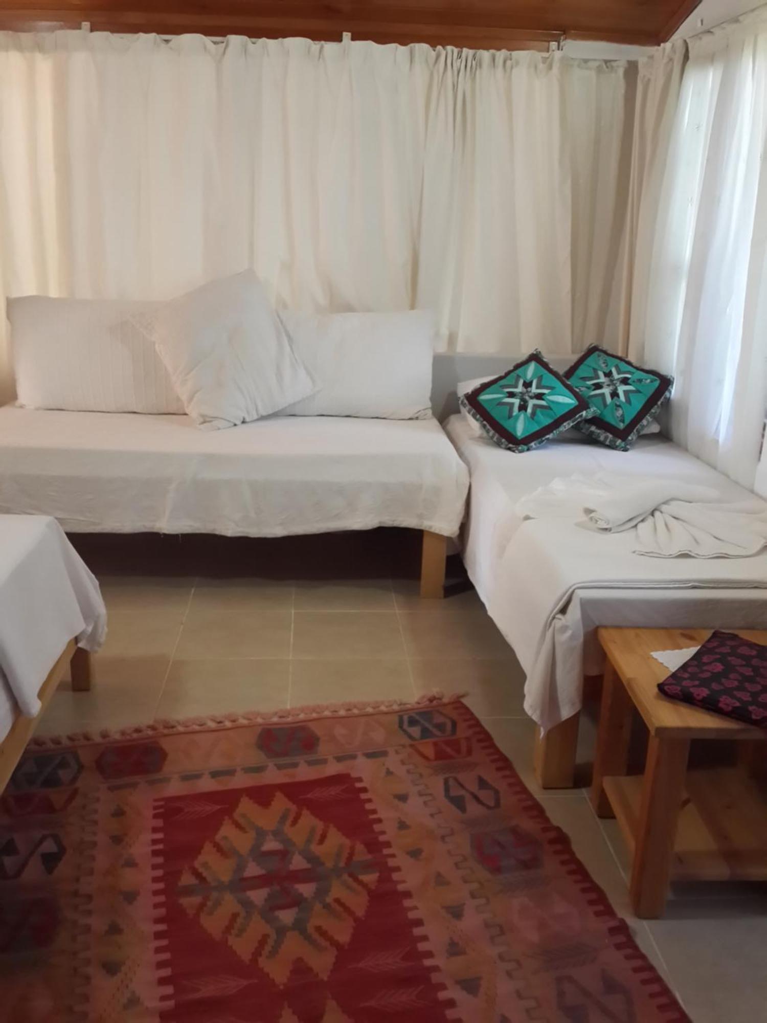 مبيت وإفطار Cirali Kus Yuvasi الغرفة الصورة
